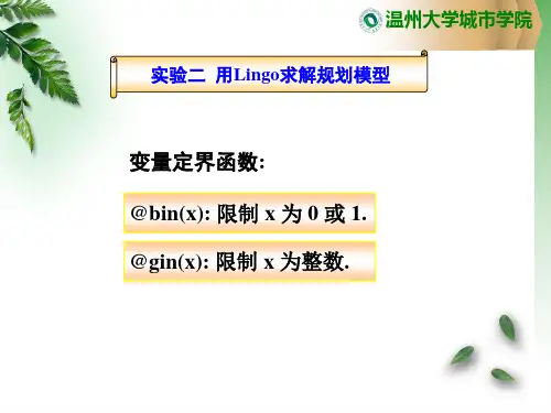 用Lingo求解整数(0-1)规划模型.