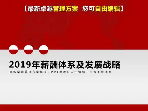 (精品文档)2019年薪酬体系及发展战略