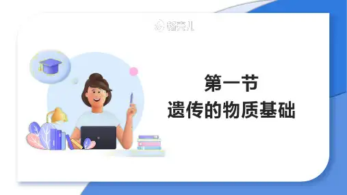 遗传的物质基础ppt课件