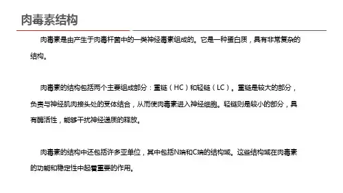 肉毒素结构