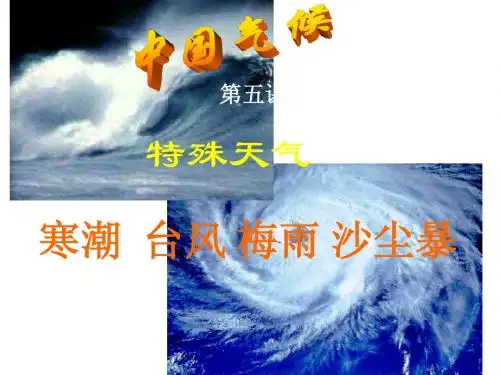 八年级地理上册 中国气候(第五课时)课件 湘教版