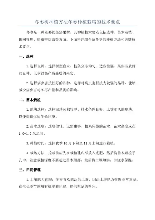 冬枣树种植方法冬枣种植栽培的技术要点