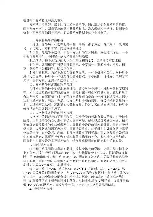安格斯牛养殖技术与注意事项