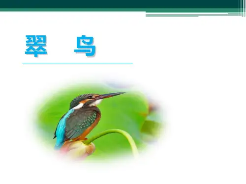 人教部编版小学三年级语文下册课文《翠鸟》课件PPT