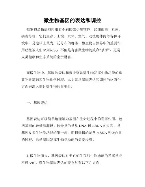 微生物基因的表达和调控