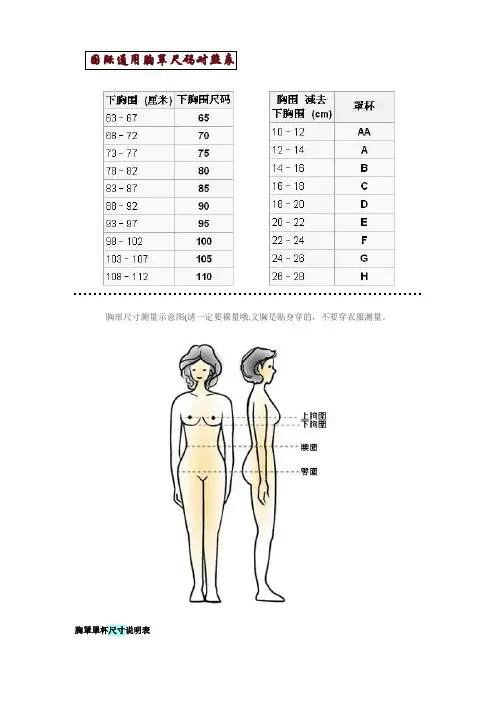 国际通用胸罩尺码对照表 及其他
