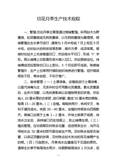 切花月季生产技术规程