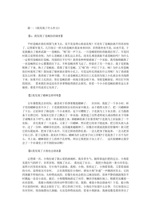 发现了什么的秘密作文