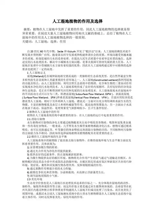 人工湿地植物的作用及选择