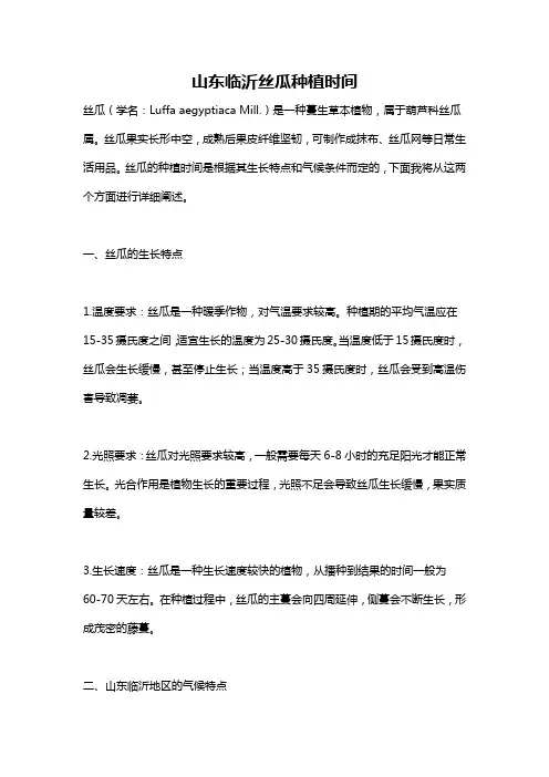 山东临沂丝瓜种植时间