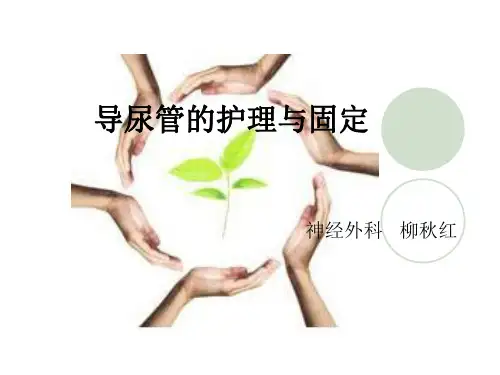 导尿管的护理及固定ppt课件