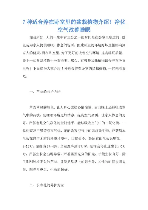 7种适合养在卧室里的盆栽植物介绍!净化空气改善睡眠