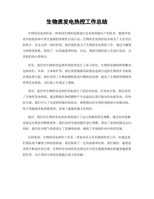 生物质发电热控工作总结