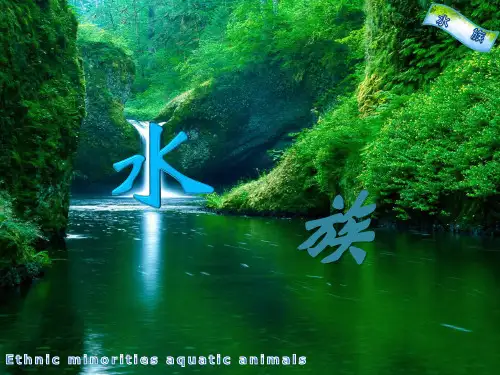 少数民族水族PPT
