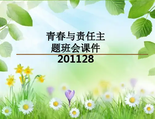青春与责任主题班会201128PPT课件