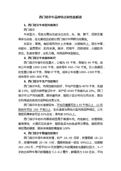 西门塔尔牛品种特点和性能解读