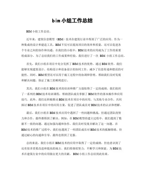 bim小组工作总结