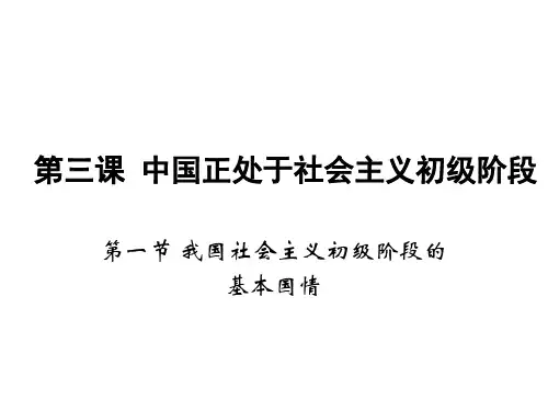 中国正处于社会主义初级阶段