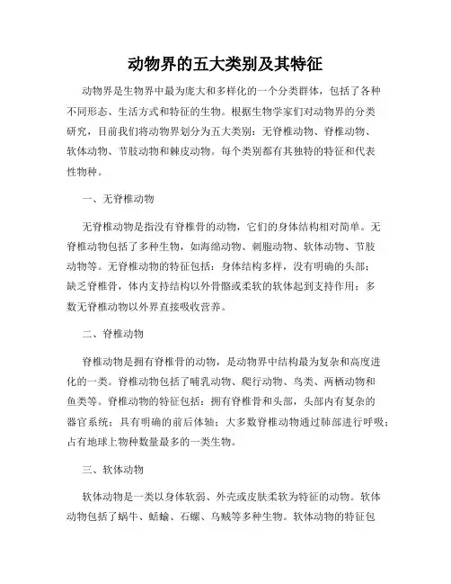 动物界的五大类别及其特征
