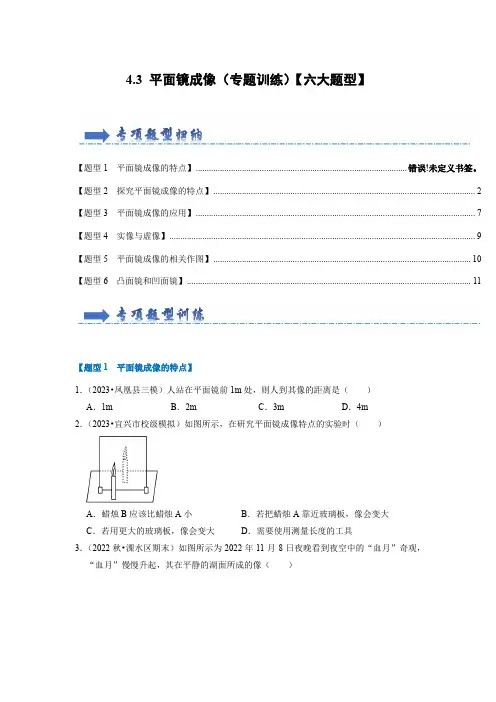 4.3 平面镜成像(专题训练)【六大题型】(学生版)