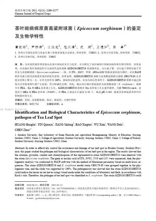茶叶斑病病原菌高粱附球菌（Epicoccum_sorghinum）的鉴定及生物学特性