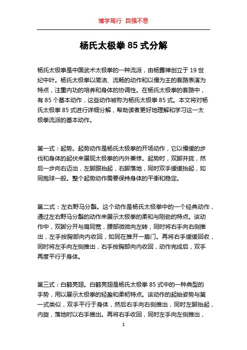 杨氏太极拳85式分解