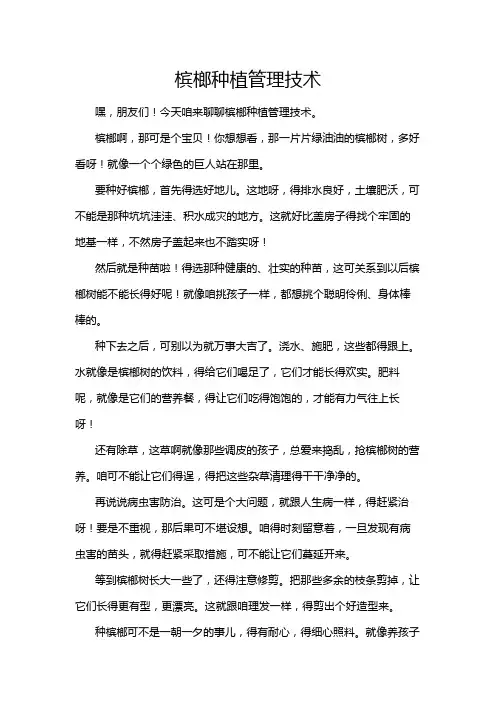 槟榔种植管理技术
