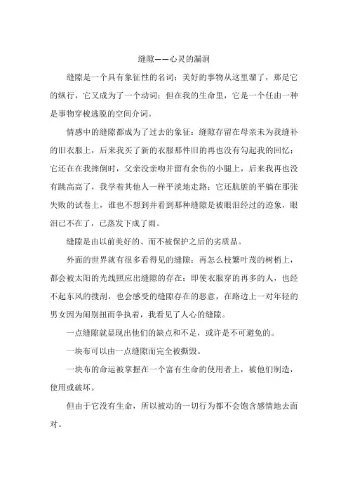 缝隙——心灵的漏洞--作文