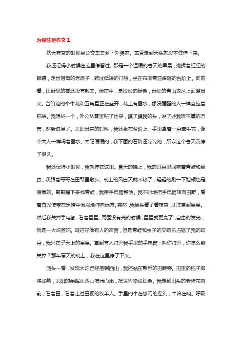 为什么驻足作文800字