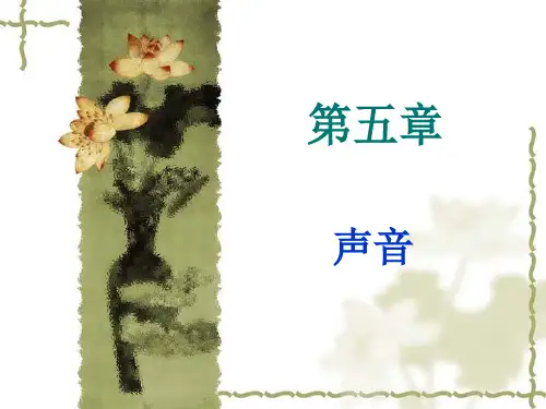 第五章 声音与声画关系