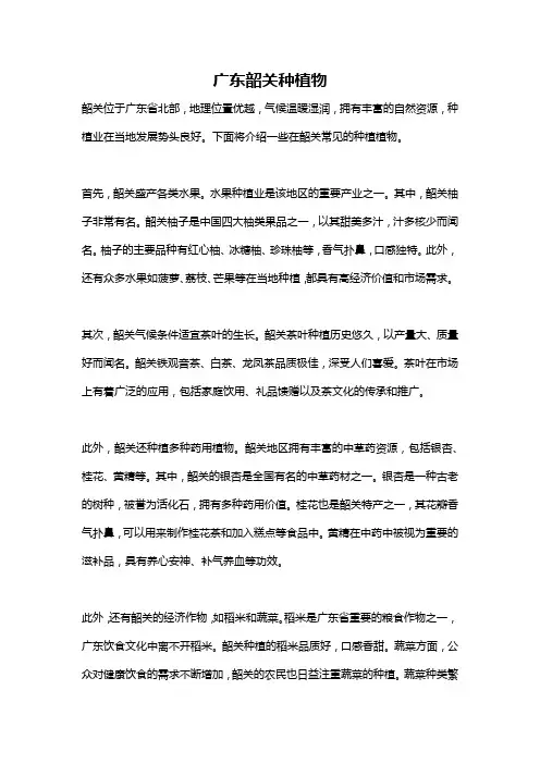 广东韶关种植物