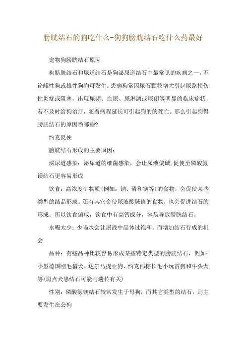 膀胱结石的狗吃什么-狗狗膀胱结石吃什么药最好