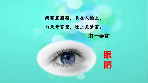 部编版四年级语文上册口语交际：爱护眼睛 保护视力(2套)