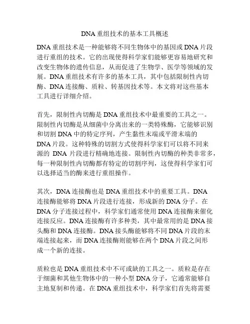 DNA重组技术的基本工具概述
