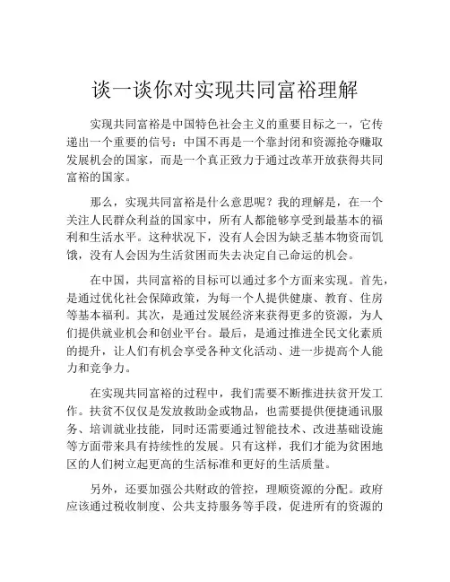 谈一谈你对实现共同富裕理解