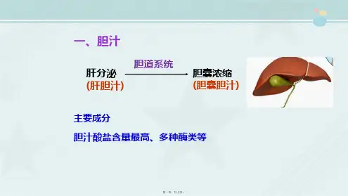 助产专业《胆汁酸的代谢》