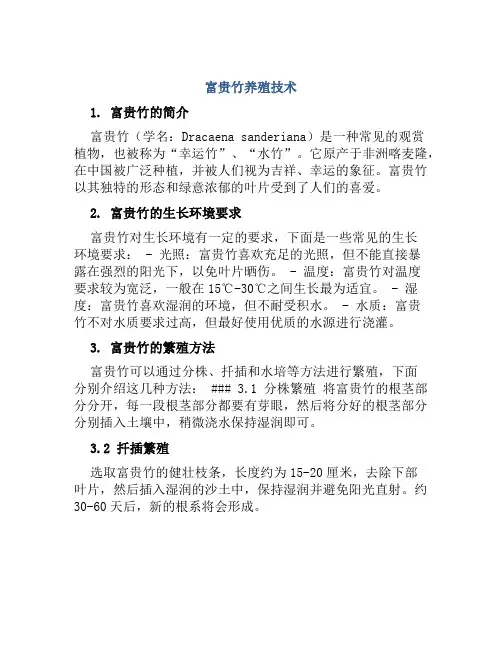 富贵竹养殖技术富贵竹养殖技术