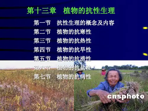 13植物的抗性生理