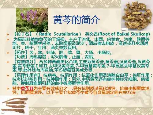 黄芩主要成分的分析研究方法