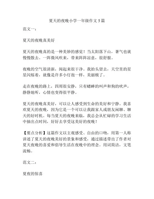 夏天的夜晚小学一年级作文5篇