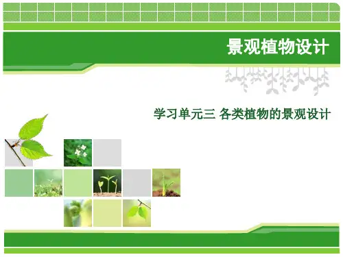 景观植物设计3-1学习单元三各类植物的景观设计(乔灌木的种植设计)