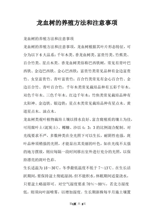 龙血树的养殖方法和注意事项