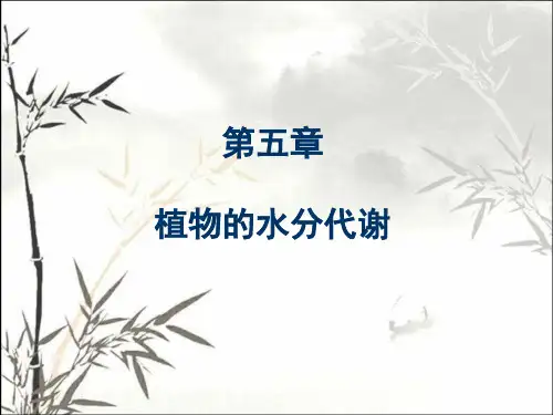 植物的水分代谢 PPT课件