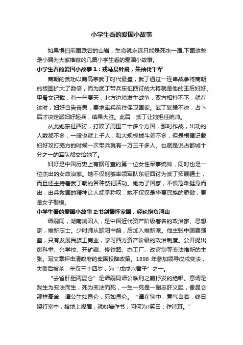小学生看的爱国小故事