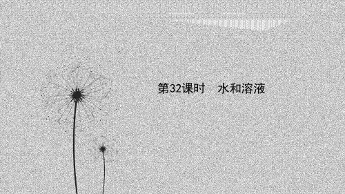 备战浙教版科学中考一轮复习第32课时水和溶液课件