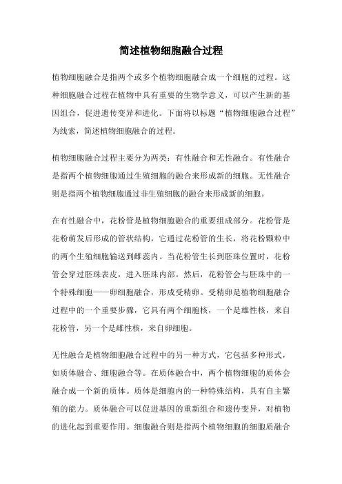 简述植物细胞融合过程