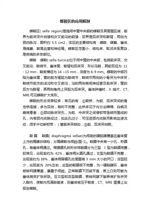 蝶鞍区的应用解剖