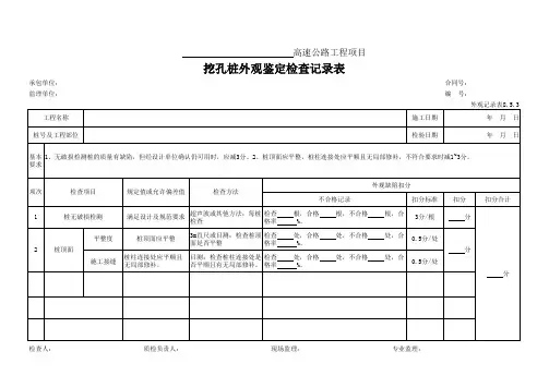19、挖孔桩外观鉴定检查记录表  (外观记录表8.5.3)