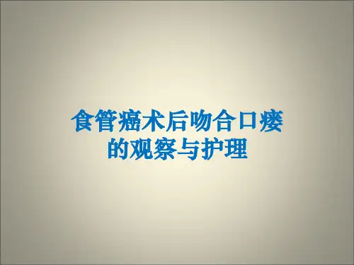 食管癌术后吻合口瘘护理ppt课件