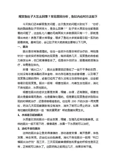 观赏鱼肚子大怎么回事？常见原因分析，鱼缸内应对方法如下